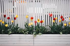Stylish Garden Fence Ideas Uk Ppo