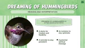 Dreaming Of Hummingbirds Discover The