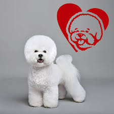 Bichon Frise Love Dog Wall Decal