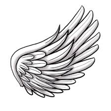 Wing Drawing Png Transpa Images