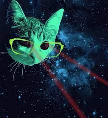cat laser gif cat laser meme war