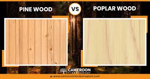 pine vs poplar wood 5 key differences