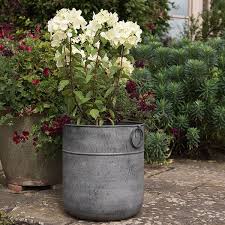 Buy Metal Planter Delivery By Crocus