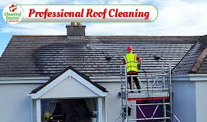 Roof Cleaning Coating Sealing