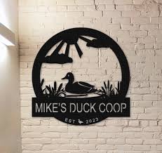 Duck Coop