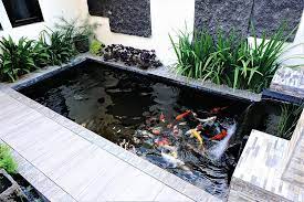 Fish Pond Design At Home A Step By