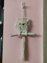 Macrame Owl Wall Decor At Rs 500
