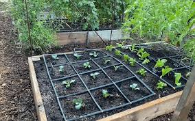 Plant Spacing In Square Foot Gardens