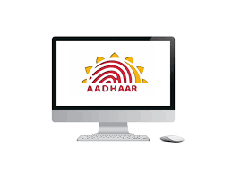 Duplicate Aadhaar