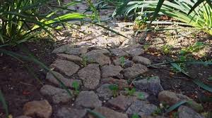 Stone Path Stock Footage Royalty Free