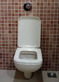 Wall Hung Toilet Installation Service