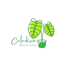 Abstract Garden Plant Caladium Logo