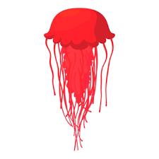 Jelly Fish Clipart Images Free