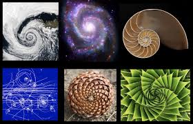 What Is The Golden Spiral To Find Out