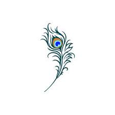 Peacock Feather Logo Images Browse 20