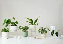 Plant Pots Handcrafted Ceramics