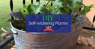 Self Watering Planters 20 Diy Ideas To