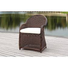 Safavieh Newton Brown Wicker Outdoor