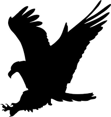 Free Svg Image Eagle Falcon Wild Bird