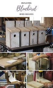 Building Bluebird Bird Houses How To