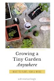 Growing A Tiny Garden Anywhere