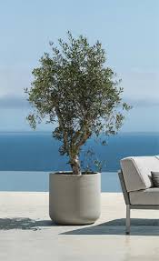 Jumbo Planters Extra Large Flower Pots