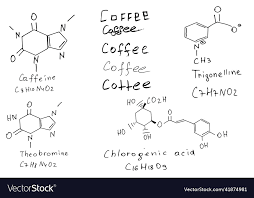Coffee Caffeine Formula Vector Image