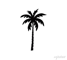 Coconut Tree Icon Palm Tree Vector