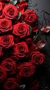 View From Above Red Roses A Romantic