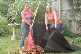 Garden Maintenance General Gardening
