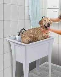 Utility Laundry Sink Wash Tub Dog