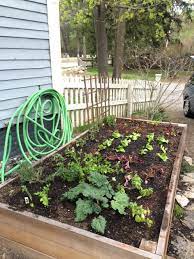 How To Make A Raised Garden Bed