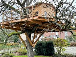 Safe Diy Treehouse Construction
