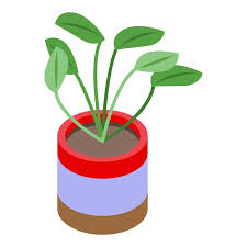 Garden Plant Pot Icon Isometric Of