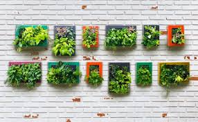 Plan Your Perfect Vegetable Garden