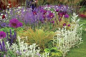 Perennial Border On A Budget
