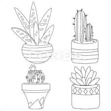 Succulent Plants In Pots Vector Black