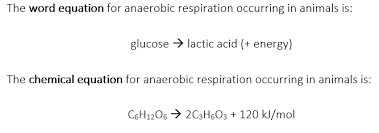 Aerobic Respiration And Anaerobic