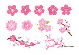 Pink Flower Blossom Vectors Choose