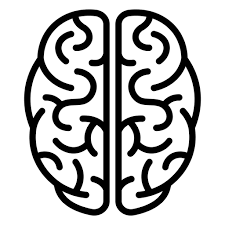 Brain Stroke Icon Top View Png Svg