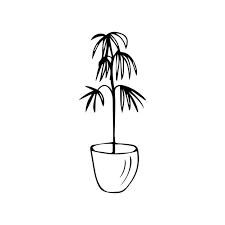 Pot Palm Tree Doodle Ilration In