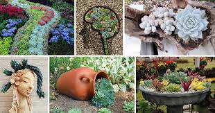 Front Yard Succulent Garden Ideas