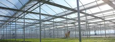 Curved Commercial Glass Greenhouse