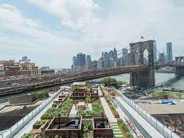 See A Rooftop Garden In Brooklyn