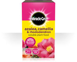 Miracle Gro Azalea Camellia
