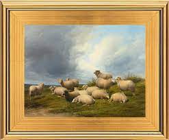 Beautiful Sheep In Pasture Landscape