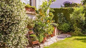 Choose The Best Trees Shrubs And Vines