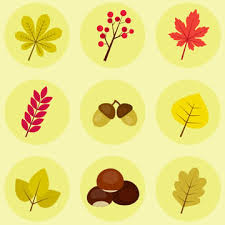 Chestnut Icons In Adobe Ilrator