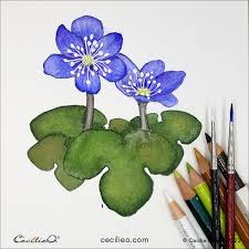 How To Watercolor An Iconic Spring Flower