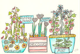 The Permaculture Kitchen Garden